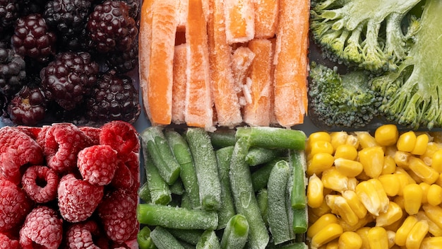 Comida natural para pets pronta para servir