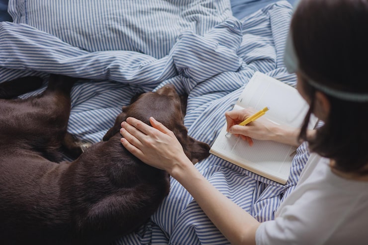 Tutor acariciando cachorro deitado em sua cama