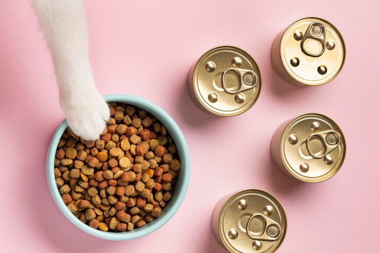 Sachês e latas premium de alimentação úmida para gatos disponíveis na Hachiko Pet House.